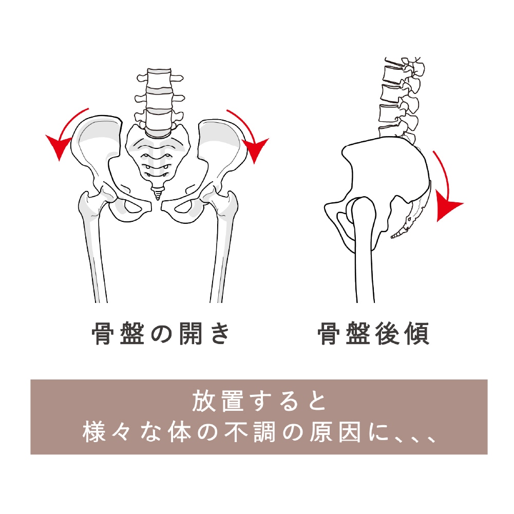 FAVOLINK produced by YURI YASUI： 骨盤ベルト |WAIST SHAPER