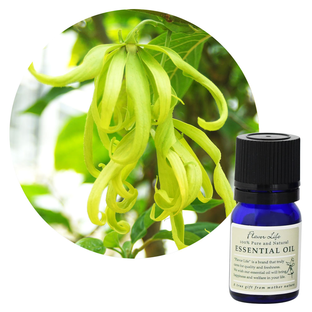 未使用】HYSSES イランイランエッセンシャルオイル100m 未使用】HYSSES