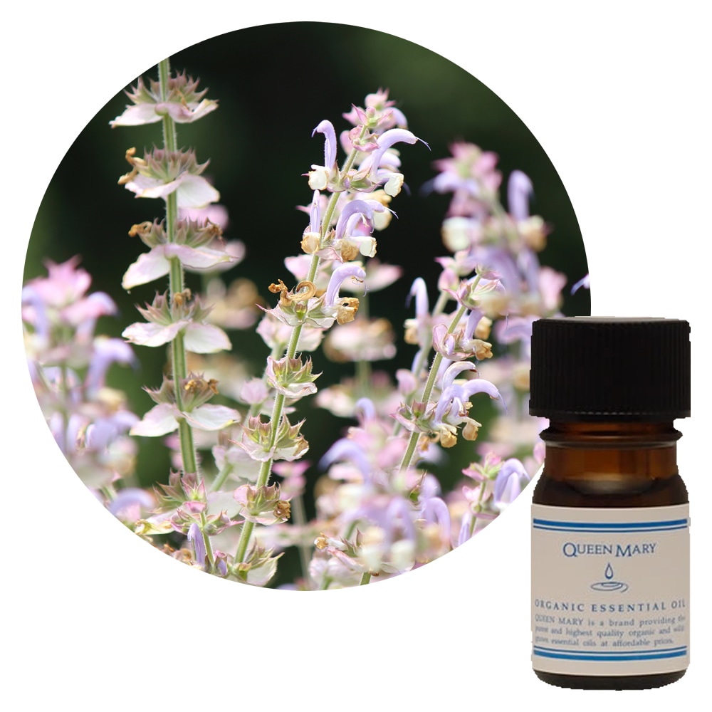 クイーンズヘナ クレアンス エッセンシャルオイル 01-08 セット