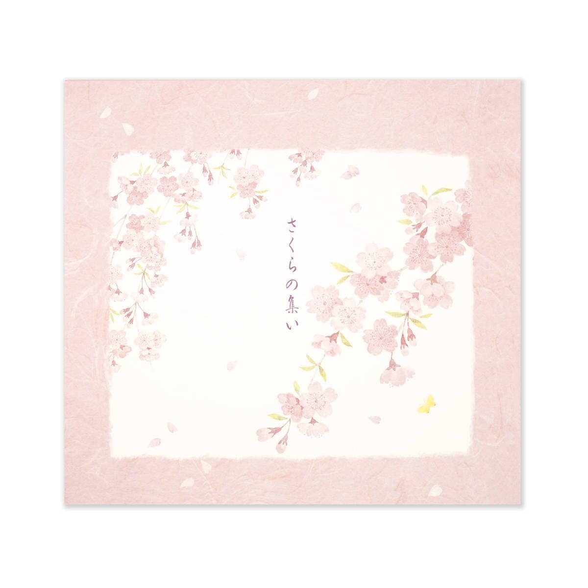 1_000000003007.jpg?1731649526