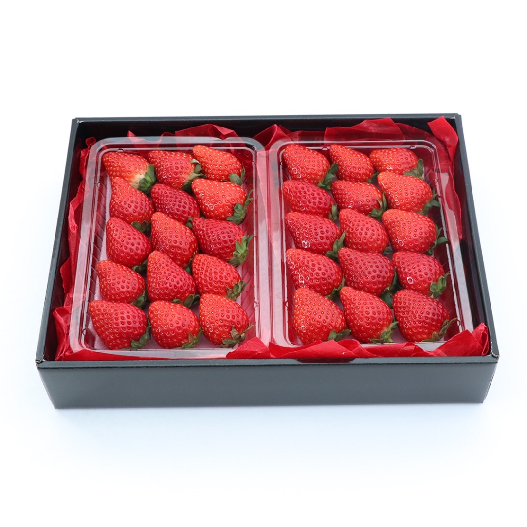 送料込】赤いちご 270g前後×2パック[いちご]（クール便） | いちご