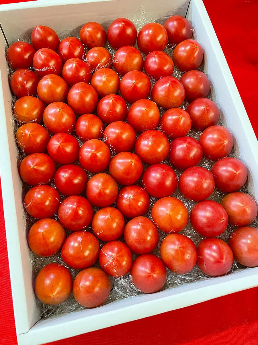 フルーツトマト2K箱 | 秋 Autumn fruits,フルーツトマト