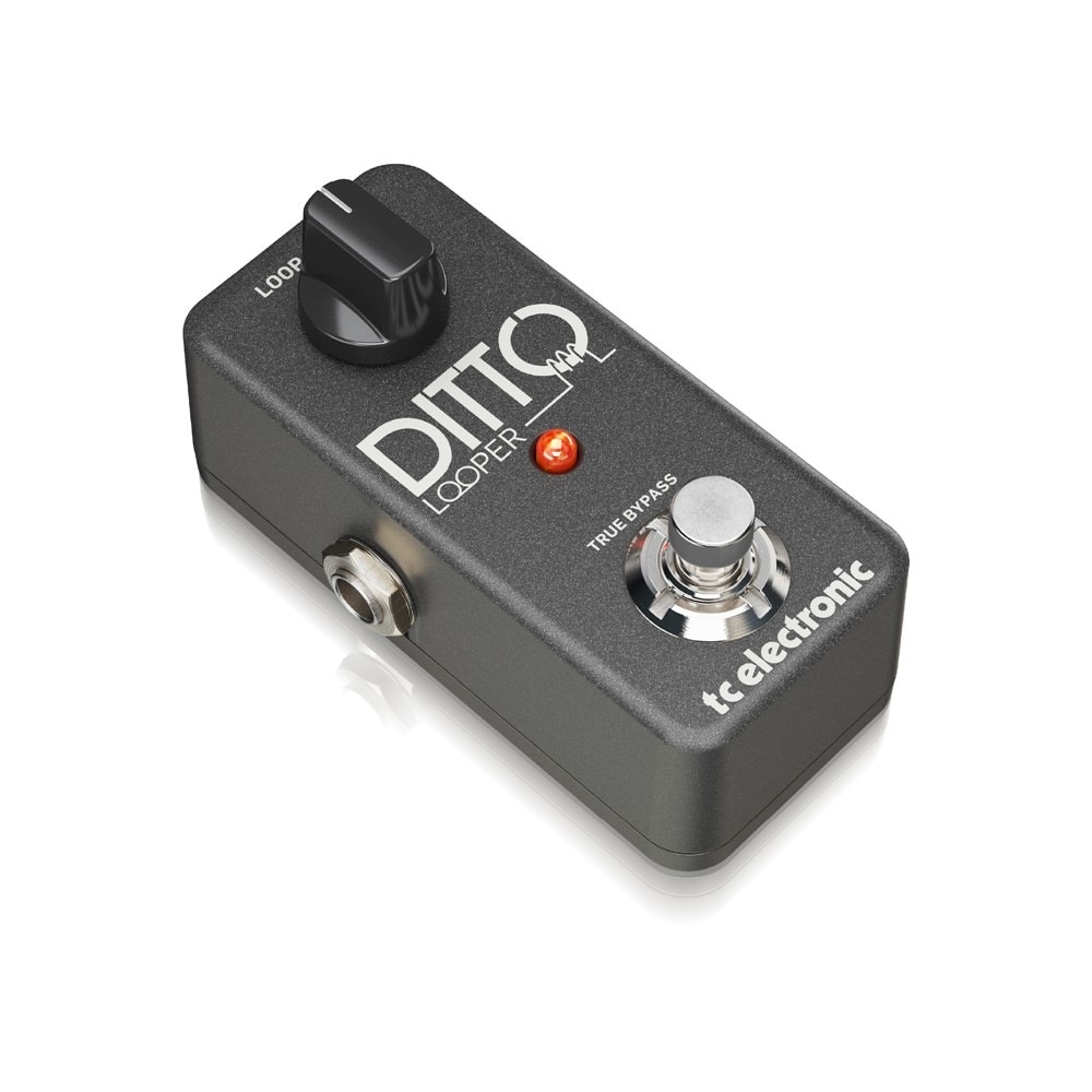 TC ELECTRONIC DITTO LOOPER ルーパー Hibino.com (ヒビノ公式ECサイト