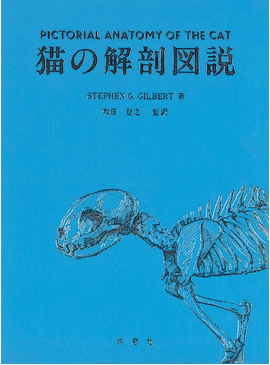 猫の解剖図説 | 基礎獣医学,解剖・組織学 | 株式会社学窓社