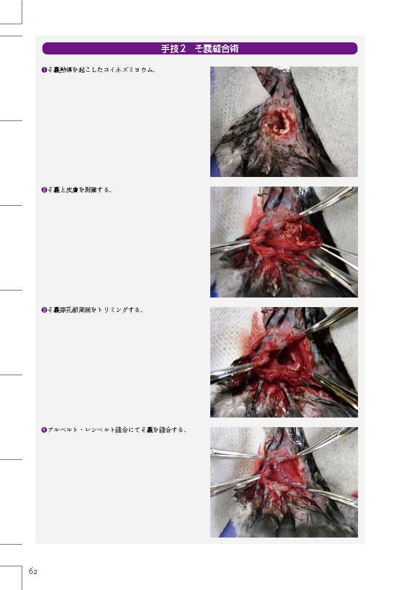 エキゾチック臨床シリーズ Vol.7 飼い鳥の鑑別診断と治療 Part 1