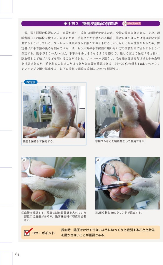 エキゾチック臨床シリーズ Vol.2 フェレットの診療 診療法の基礎と臨床