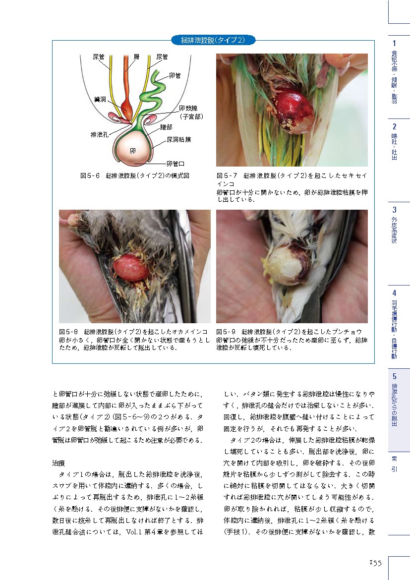 エキゾチック臨床シリーズ Vol.7 飼い鳥の鑑別診断と治療 Part 1