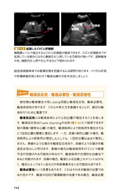 診療現場ですぐ役立つ！犬と猫の輸液 | 臨床獣医学,検査・診断 | 株式