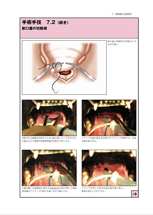 BSAVA 犬と猫の頭・頸・胸部の外科マニュアル | BSAVAマニュアル