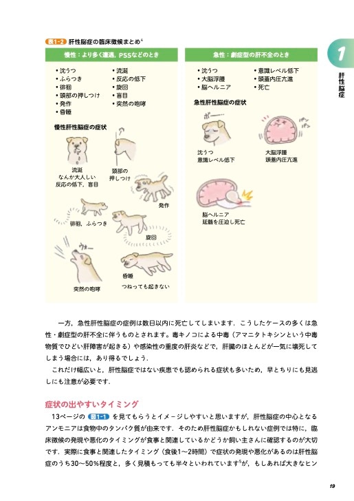 イラストでわかる！病気のしくみ 犬と猫の病態生理 | 臨床獣医学,内科