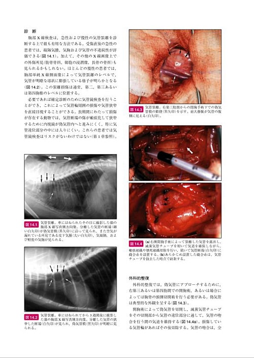 BSAVA 犬と猫の頭・頸・胸部の外科マニュアル | BSAVAマニュアル