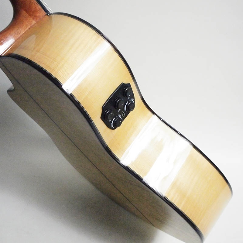 Martinez MP-14 Maple-Artist エレガット〈マルティネス〉 | Acoustic