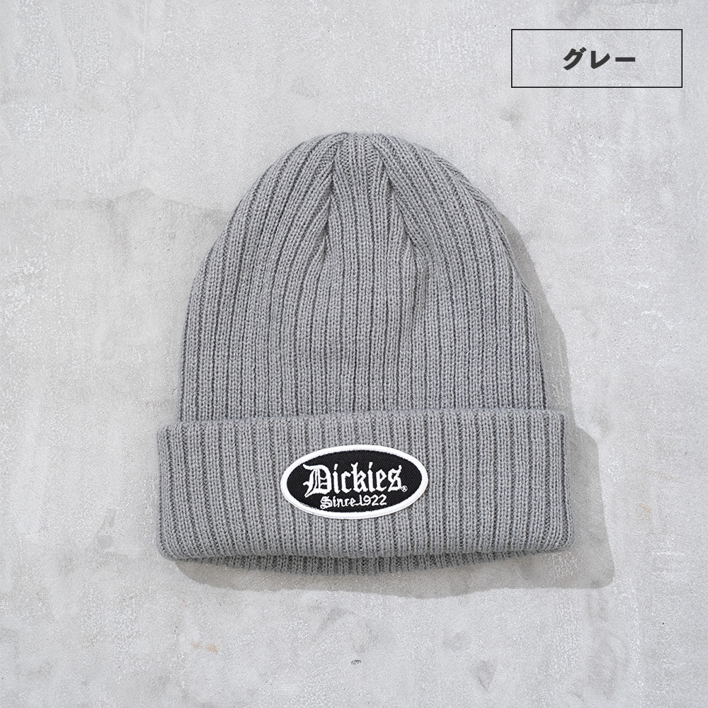 DK EX BLOCK FONT WAPPEN KNIT WATCH | Dickies,帽子 | JUGLANS