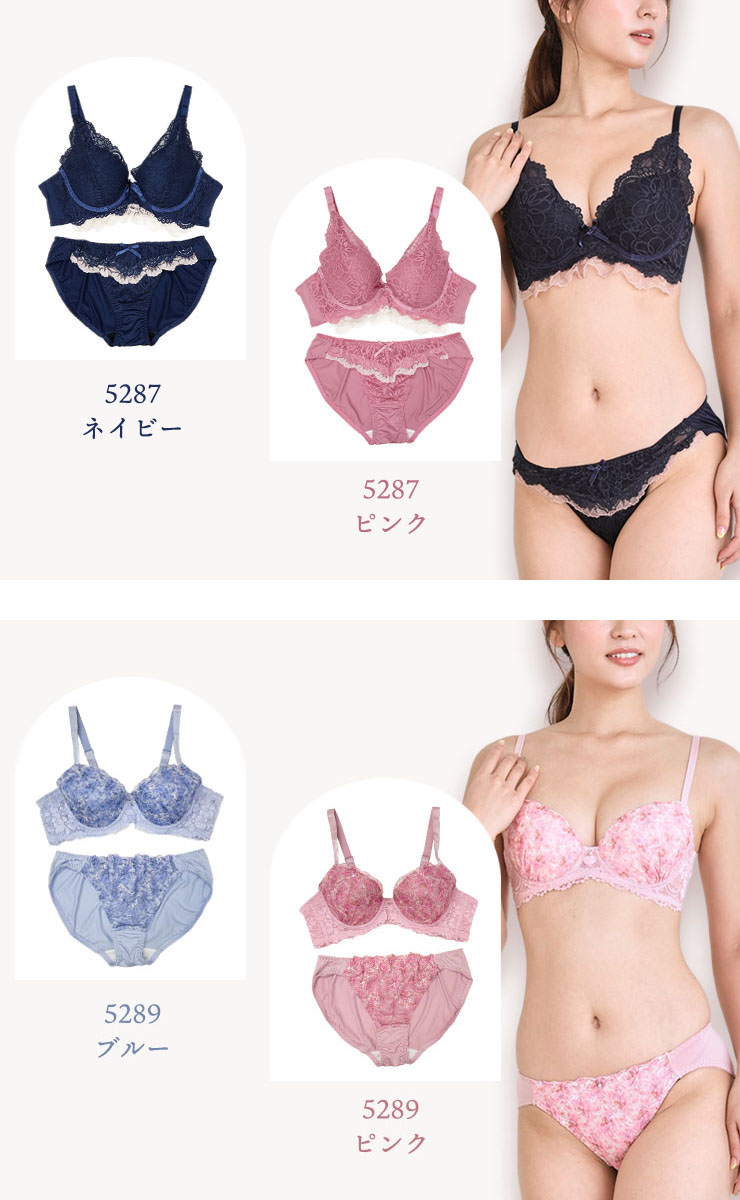 脇高ブラショーツセット D85 D90 D95 D100 (j5-d)