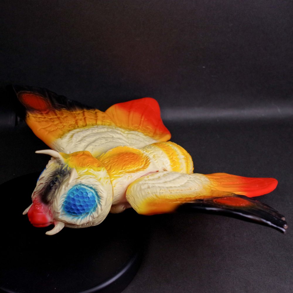 15_000000014567.jpg?1702544820