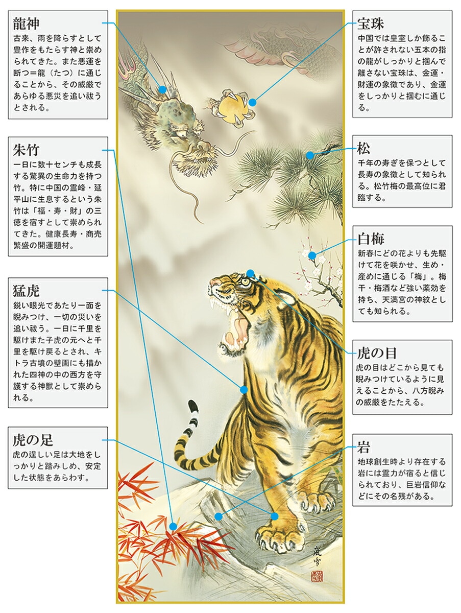 掛け軸 床の間 モダン 和風 尺五 開運画掛軸 龍虎吉祥之図 濱田 嵐雪