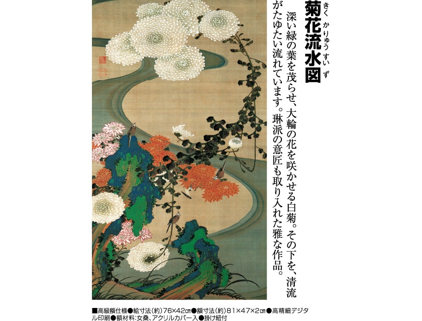 伊藤若冲 動植綵絵 菊花流水図 高級仕様 額 美術品 インテリア 作品