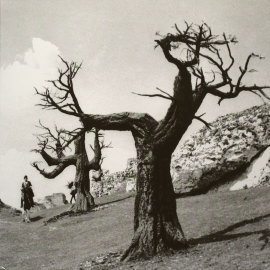 サラゴサの写本 1965年 ヴォイチェフ・イエジー・ハス監督 | 映画