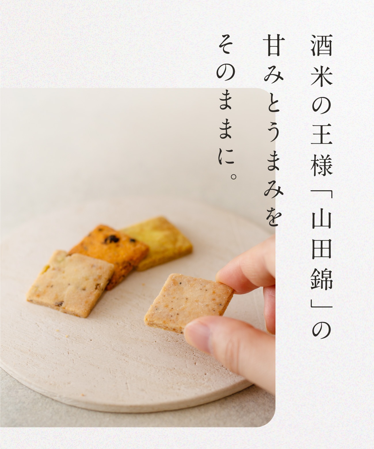 山田錦サブレ アソート缶（28枚入［4種×7枚］）ギフト［グルテンフリー