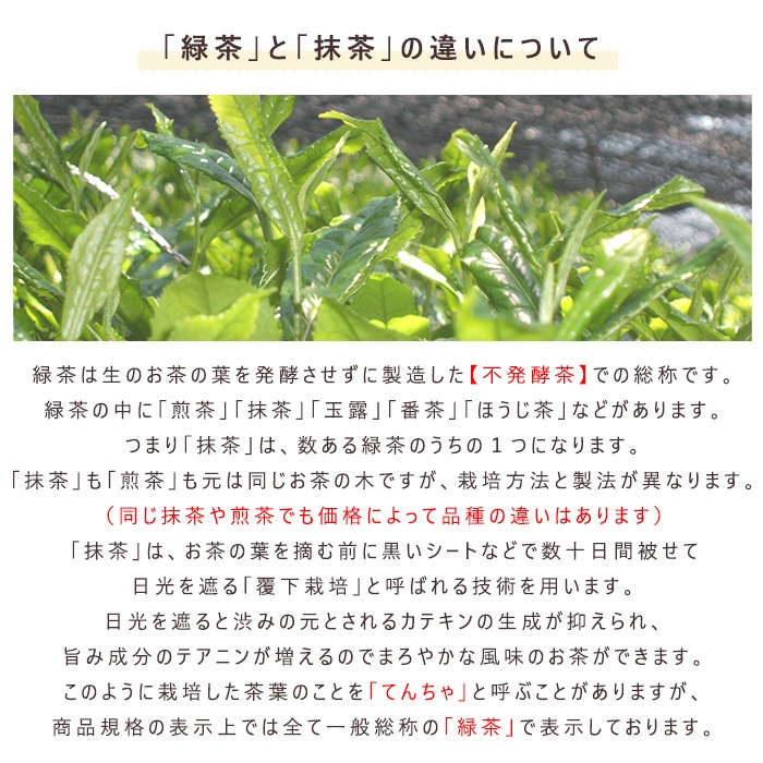 ほんぢ園 抹茶 宇治抹茶 白雲の昔 20g 袋【返品交換不可】【別倉庫発送】