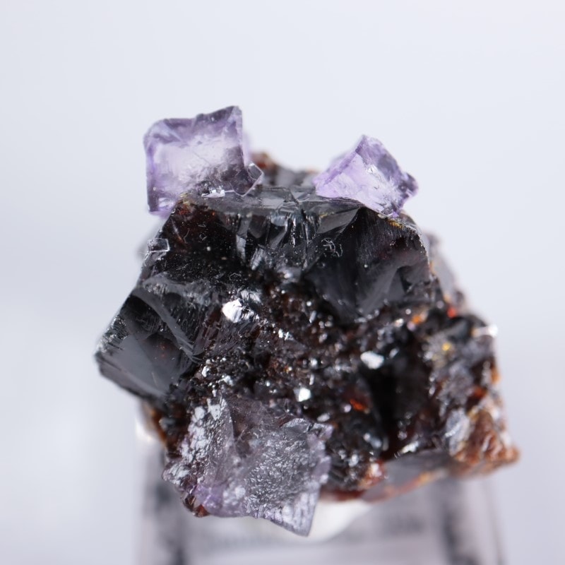 エルムウッド鉱山 フローライト、スファレライト | 鉱物標本,サ行