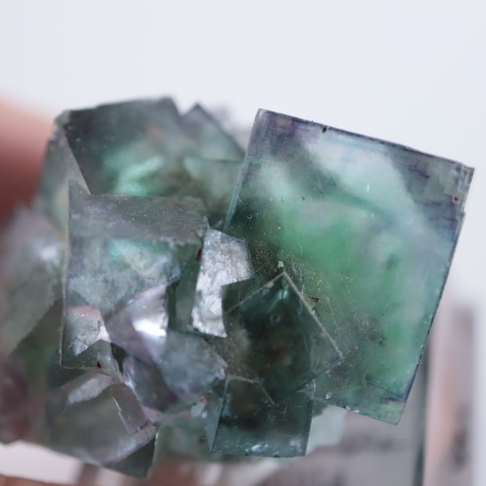 オコルス鉱山産 フローライト | 鉱物標本,ハ行,フローライト/蛍石