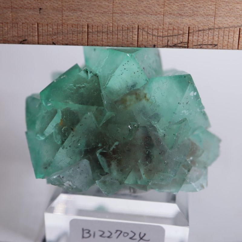 南アフリカ産 フローライト | 鉱物標本,ハ行,フローライト/蛍石