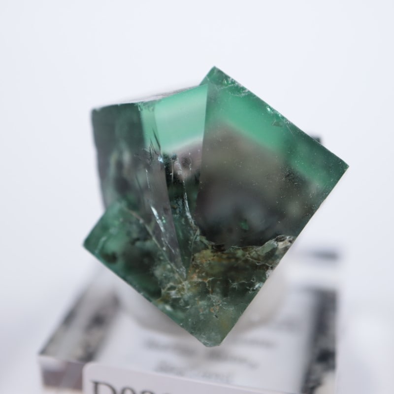 The Hidden Forest 蛍石 | 鉱物標本,ハ行,フローライト/蛍石,フロー