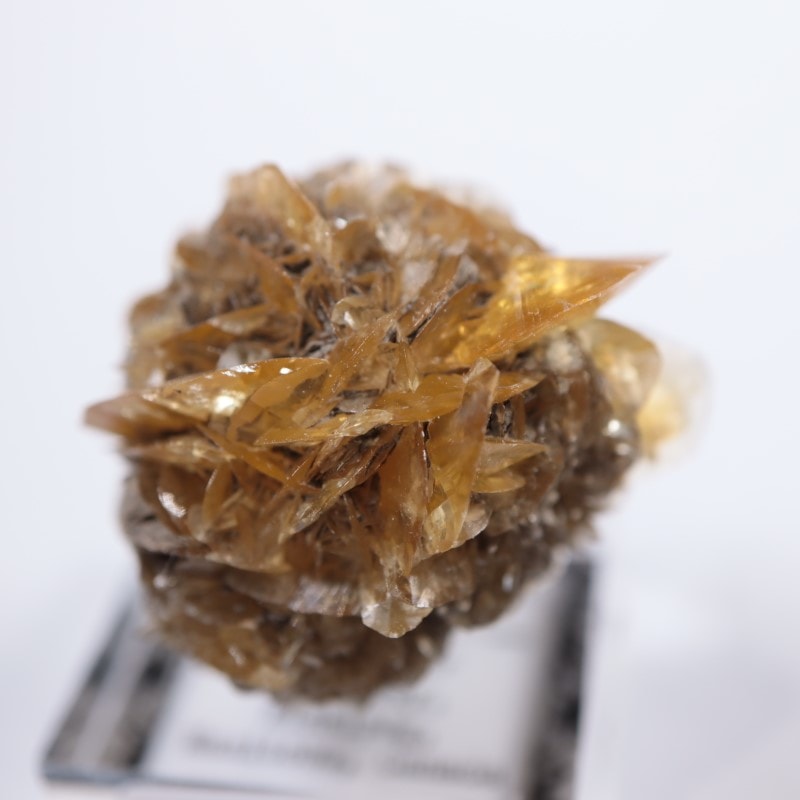 カナダ産 ジプサム（セレナイト） | 鉱物標本,サ行,ジプサム/石膏