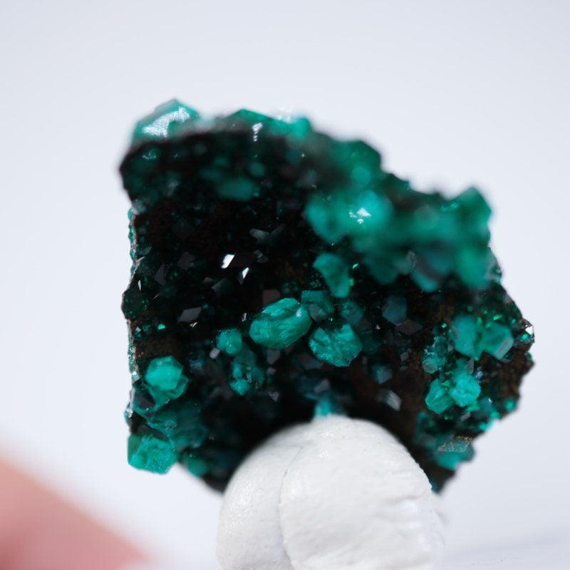 コンゴ産 ダイオプテーズ | 鉱物標本,タ行,ダイオプテーズ/翠銅鉱