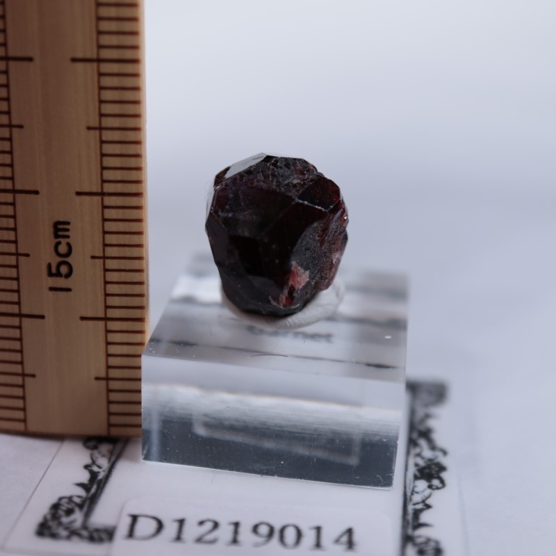 パキスタン産 ガーネット | 鉱物標本,カ行,ガーネットグループ/石榴石