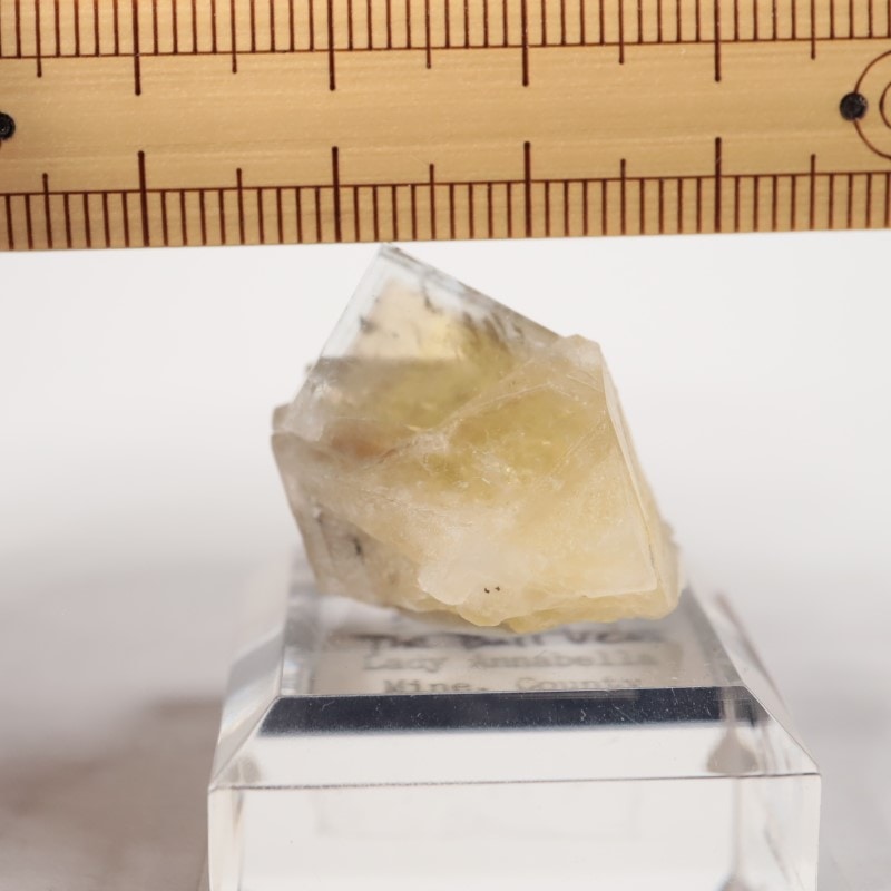 The Bull Vein フローライト | 鉱物標本,ハ行,フローライト/蛍石