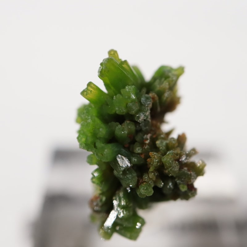 中国産 パイロモルファイト | 鉱物標本,ハ行,パイロモルファイト/緑鉛