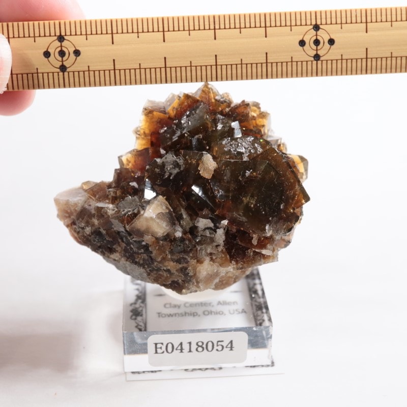 オハイオ州 フローライト | 鉱物標本,ハ行,フローライト/蛍石,フロー