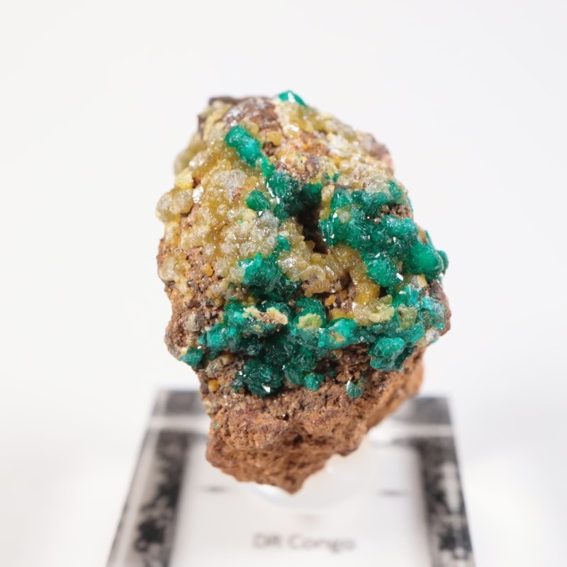 外国産鉱物標本 コンゴ産母岩付きダイオプテーズ 原石 ダイオプテーズ