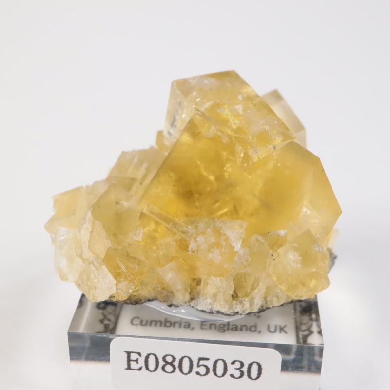 イギリス産 フローライト | 鉱物標本,ハ行,フローライト/蛍石,フロー