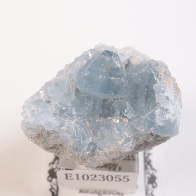 マダガスカル産 セレスタイト | 鉱物標本,サ行,セレスタイト