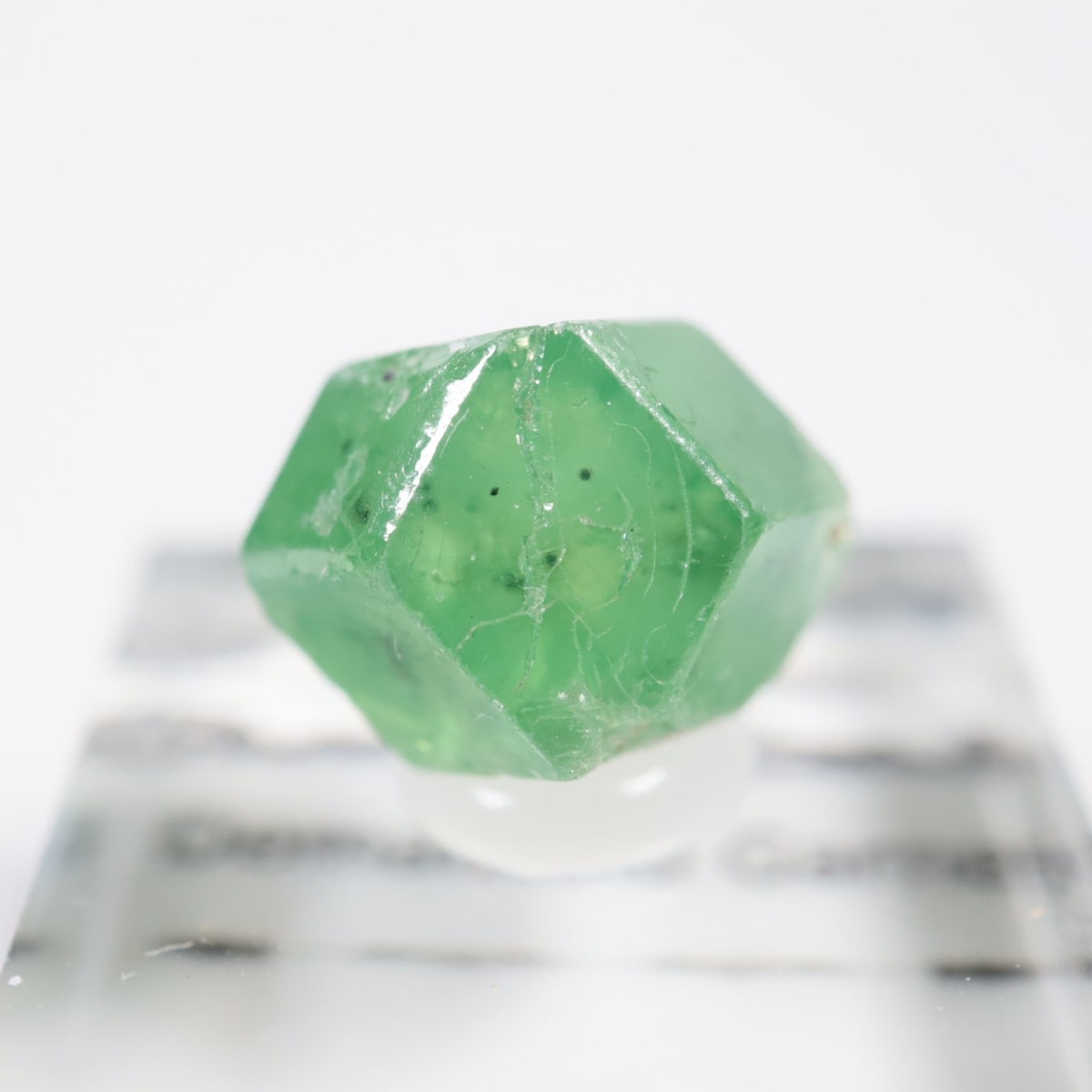 パキスタン産 デマントイドガーネット | 鉱物標本,カ行,ガーネット