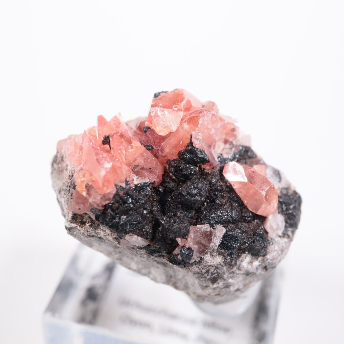 ペルー産 ロードクロサイト | 鉱物標本,ラ行,ロードクロサイト/菱