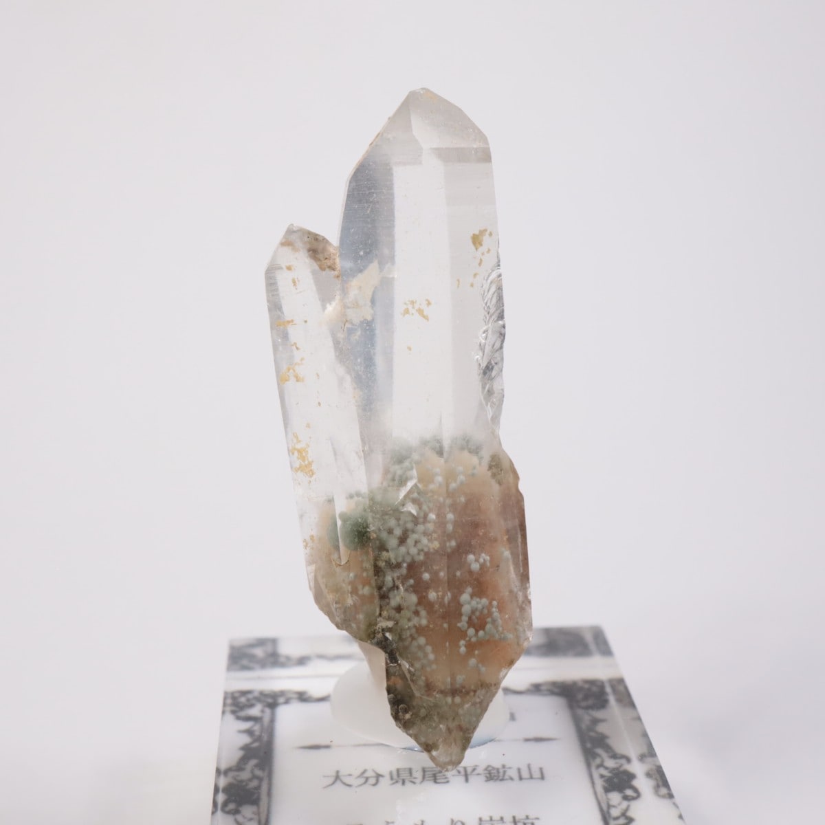 期・価限定】ガマ出しハイグレード！ 大分県 尾平鉱山コウモリ坑の