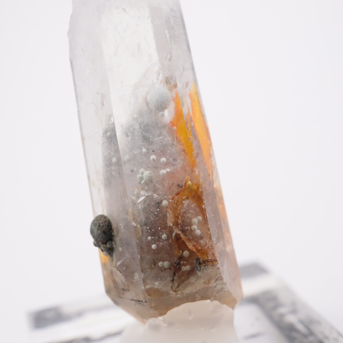 5_000000010712.jpg?1758973292