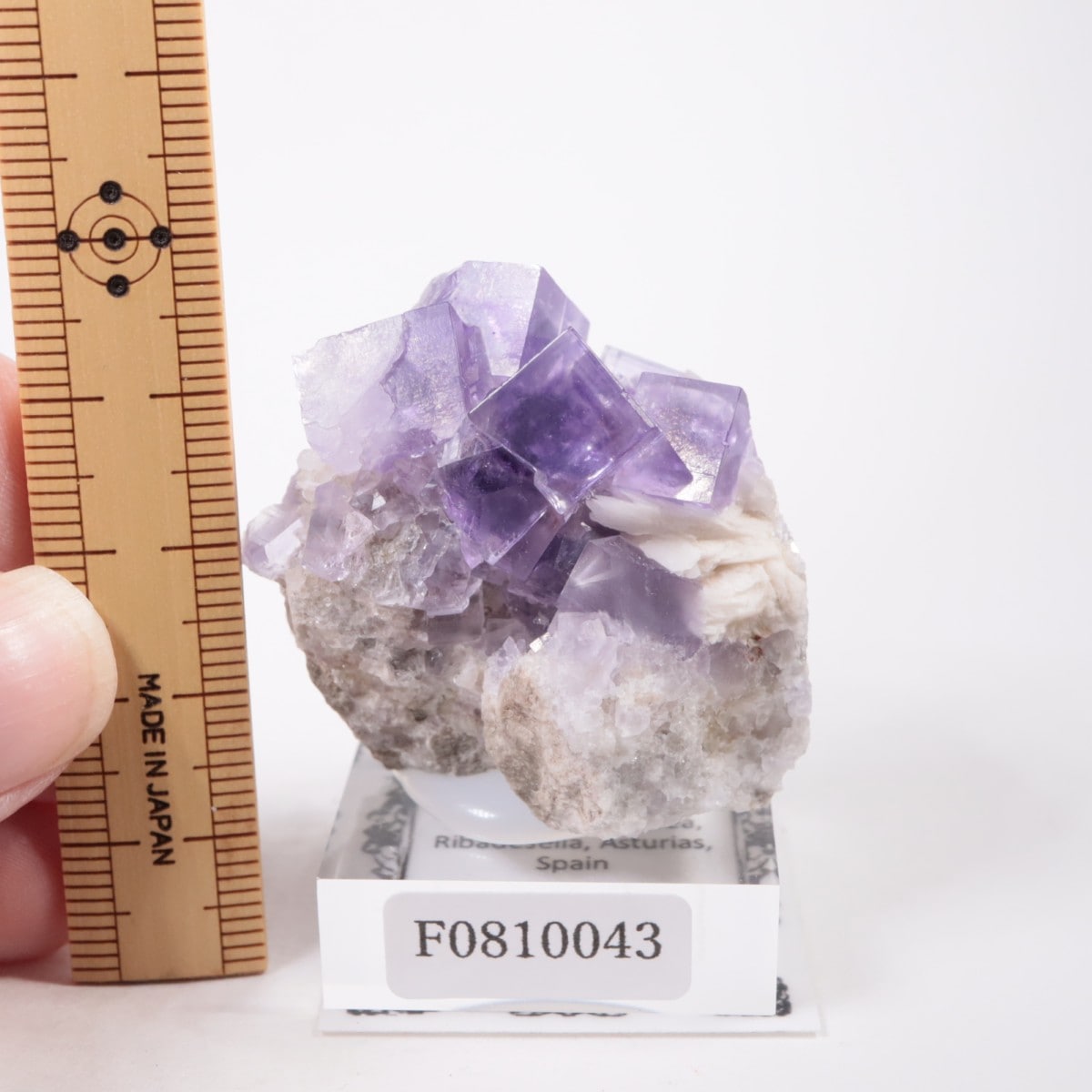 スペイン産 フローライト | 鉱物標本,ハ行,フローライト/蛍石 | ほたる