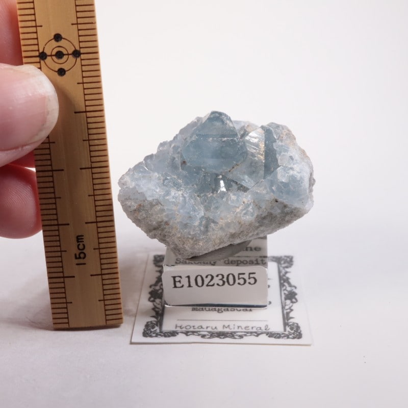 マダガスカル産 セレスタイト | 鉱物標本,サ行,セレスタイト