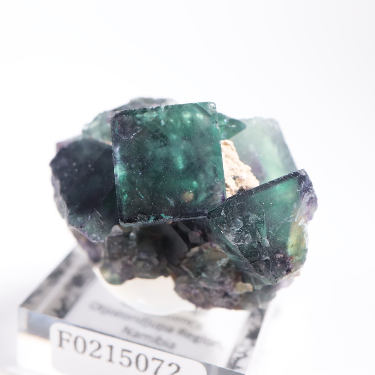 オコルス鉱山産 フローライト | 鉱物標本,ハ行,フローライト/蛍石
