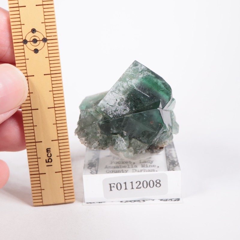 Fairy Holes Pocket フローライト | 鉱物標本,ハ行,フローライト/蛍石