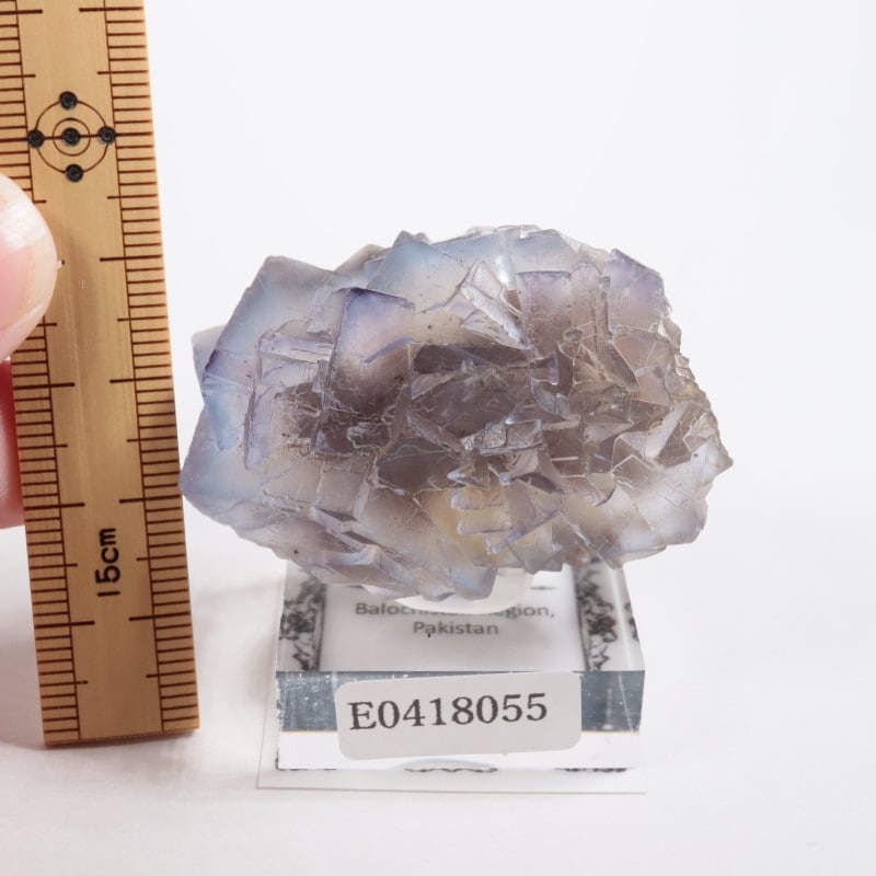 2_000000007270.jpg?1713437173