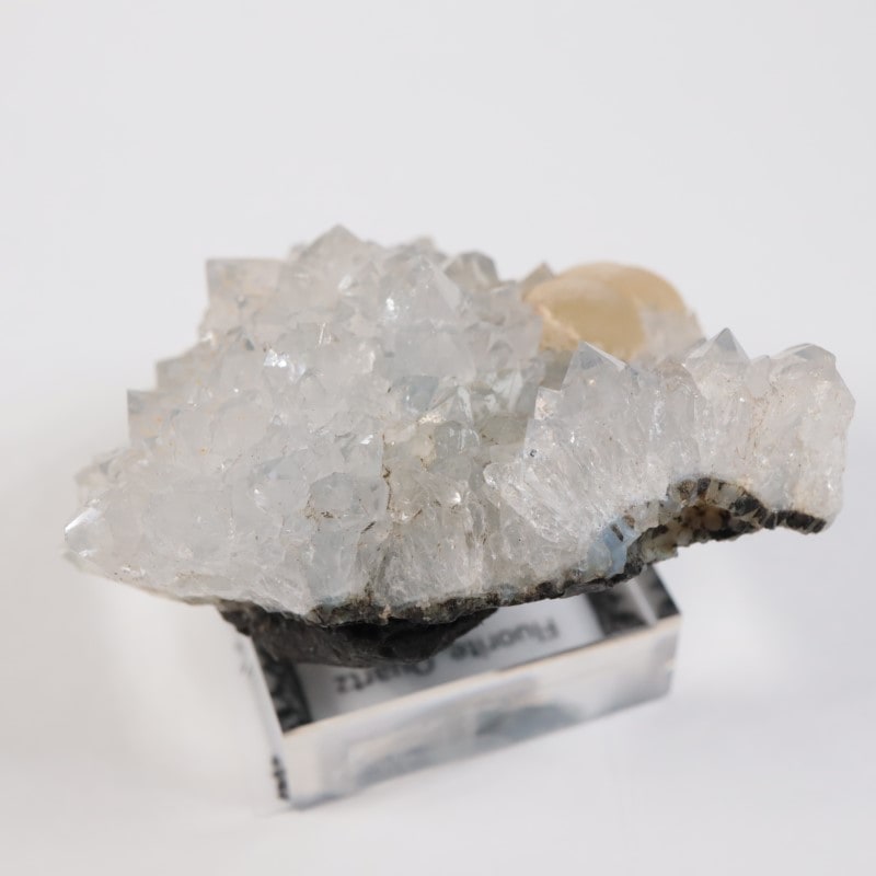 インド産 フローライト、クォーツ | 鉱物標本,ハ行,フローライト/蛍石