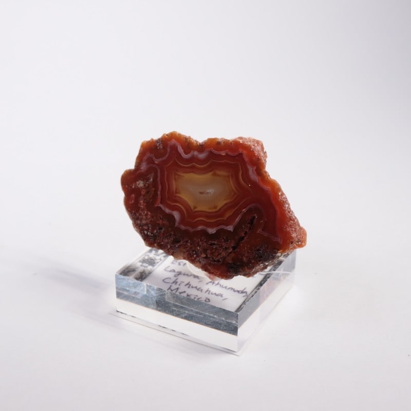 メキシコ産 ラグナアゲート | 鉱物標本,ア行,アゲート/瑪瑙 | ほたるみ