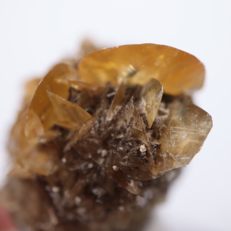 カナダ産 ジプサム（セレナイト） | 鉱物標本,サ行,ジプサム/石膏