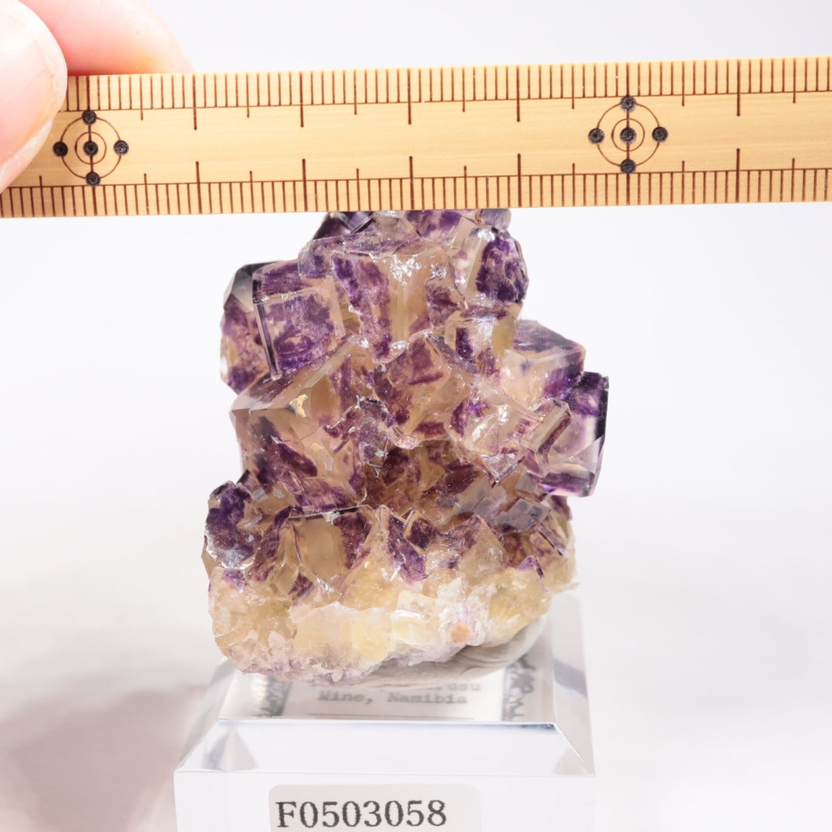 Purple Bunny Pocket産 フローライト | 鉱物標本,ハ行,フローライト/蛍